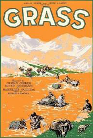 https://www.rarefilmsandmore.com/Media/Thumbs/0016/0016606-grass-a-nations-battle-for-life-1925.jpg