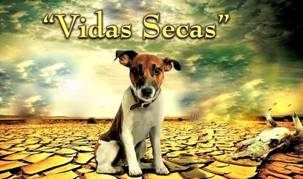 https://www.rarefilmsandmore.com/Media/Thumbs/0004/0004293-vidas-secas-1963-with-switchable-spanish-and-english-subtitles-.jpg