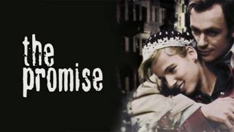 https://www.rarefilmsandmore.com/Media/Thumbs/0016/0016872-the-promise-1994-with-switchable-english-subtitles-.jpg