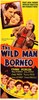 Picture of TWO FILM DVD:  GOLDEN HOOFS  (1941)  +  THE WILD MAN OF BORNEO  (1941)