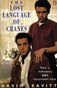 Bild von THE LOST LANGUAGE OF CRANES  (1991)  * with switchable English subtitles *