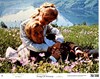 Picture of SONG OF NORWAY  (1970)  * with optional English subtitles *
