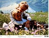 Picture of SONG OF NORWAY  (1970)  * with switchable English subtitles *