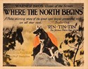 Picture of TWO FILM DVD:  WHERE THE NORTH BEGINS  (1923)  +  TIMOTHY'S QUEST  (1922)