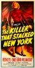 Bild von THE KILLER THAT STALKED NEW YORK  (1950)  +  BONUS FILM: THE QUEEN OF SPADES  (1949)