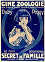 Picture of TWO FILM DVD:  THE FAMILY SECRET  (1924)  +  A ROMANCE OF THE REDWOODS  (1917)