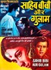 Picture of SAHIB BIBI AUR GHULAM (1962) * with switchable English subtitles *