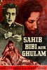 Picture of SAHIB BIBI AUR GHULAM (1962) * with switchable English subtitles *