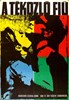 Picture of THE RETURN OF THE PRODIGAL SON  (Navrat ztraceneho Syna)  (1967)  * with switchable English subtitles *