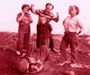 Picture of EVEN DWARFS STARTED SMALL  (Auch Zwerge haben klein angefangen)  (1970)  * with switchable English and Spanish subtitles *