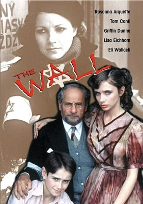 Picture of THE WALL  (1982)  * with switchable English, French, and Spanish subtitles *