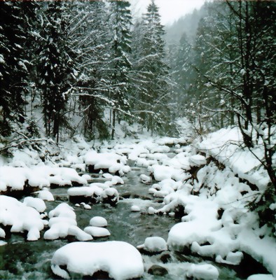reisenachschlesien5-large.jpg