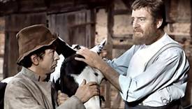 https://www.rarefilmsandmore.com/Media/Thumbs/0002/0002848-der-kleine-und-der-grosse-klaus-1971-with-switchable-english-subtitles-.jpg